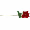 Floristik24 Umělá květina vánoční hvězda červená 67cm