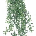 Floristik24 Zelená rostlina závěsná umělá závěsná rostlina s poupaty zelená, bílá 100cm