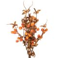Umělá větvička hlohu, podzimní dekorace, 75 cm | Floristik24.cz