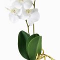 Floristik24 Bílá orchidej na trsátko umělá Phalaenopsis Real Touch 39cm