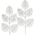 Floristik24 Zimní dekorace, deko listy, umělá větvička bílé třpytky L36cm 10ks