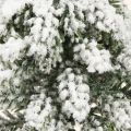 Zimní dekorace vánoční stromek v zelené bílé Ø7cm H14cm 4ks | Floristik24.cz