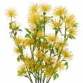 Floristik24 Xanthium hedvábný květ žlutý 53cm 6ks