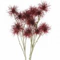 Floristik24 Xanthium umělá květina podzimní dekorace červená 6 květů 80cm 3ks
