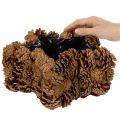 Květináč z borovicových šišek, hvězdicový, 30 cm | Floristik24.cz