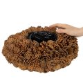 Kulatý květináč z borových šišek jako květináč, 38 cm; kulatý květináč z borových šišek, přírodní hnědý, vyrobený z borových šišek, 38 cm x 14 cm | Floristik24.cz