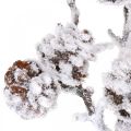 Floristik24 Vánoční větev ozdobná větev kužel větev zasněžená 72cm