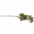 Floristik24 Cone Branch Green 33cm Umělá rostlina jako skutečná věc!