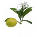 Floristik24 Deco větev citron a květiny umělá větvička letní dekorace 26cm 4ks