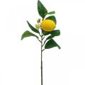 Floristik24 Deco větev citron umělá citronová větev 42cm 3ks
