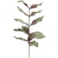 Floristik24 Umělá rostlina deko větev zelená červenohnědá pěna V68cm