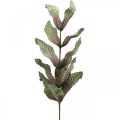 Floristik24 Umělá rostlina deko větev zelená červenohnědá pěna V68cm