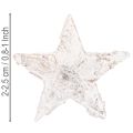 Březové hvězdy mini 2cm - 2,5cm bílené 150 ks | Floristik24.cz