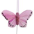 Floristik24 Peříčkoví motýlci na drátě, barevní 5,5cm 24ks