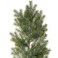 Floristik24 Girlanda z umělých jedlových větví pro kreativní floristiku, 175 cm