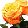 Floristik24 Dekorativní růže oranžová Ø8cm L68cm 3ks