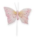Floristik24 Dekorativní motýl na drátěný pastel 8cm 12ks