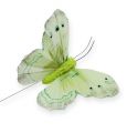 Floristik24 Ozdobný motýl na drátě zelený 8cm 12ks