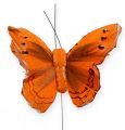 Floristik24 Ozdobný motýl na drátě oranžový 8cm 12ks