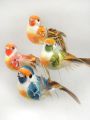 Floristik24 Ptáčci na drátě barevní 8cm 12ks