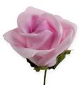 Floristik24 Pěnová růže Ø4,5cm světle fialová 36str
