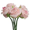 Floristik24 Pěnová růže Ø3,5cm lososově růžová 30ks