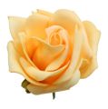 Floristik24 Pěnová růže Ø 8cm meruňka 18str