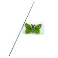 Floristik24 Motýl na špejli 17cm zelený