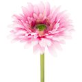 Floristik24 Umělé zahradní květiny gerbery, růžové, 47 cm, 6 kusů