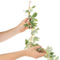 Umělá girlanda s panašovanými listy, 175 cm | Floristik24.cz
