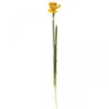 Floristik24 Umělý narcis hedvábný květ žlutý narcis 59cm