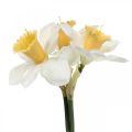 Floristik24 Umělý narcis hedvábné květy bílý narcis 40cm 3ks