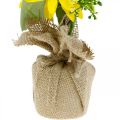 Floristik24 Umělá slunečnice, hedvábný květ, letní dekorace, slunečnice v jutovém pytli