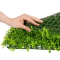 Umělá podložka z buxusu 55x55 cm pro dekorativní nástěnný design | Floristik24.cz