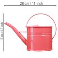 Kovová dekorativní konev na zalévání, růžový květináč, 1,25 l, vnitřní/venkovní, balkon | Floristik24.cz
